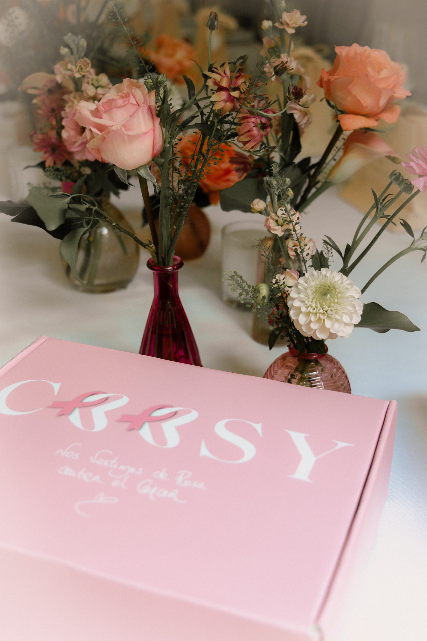 CAJA SOLIDARIA ROSA