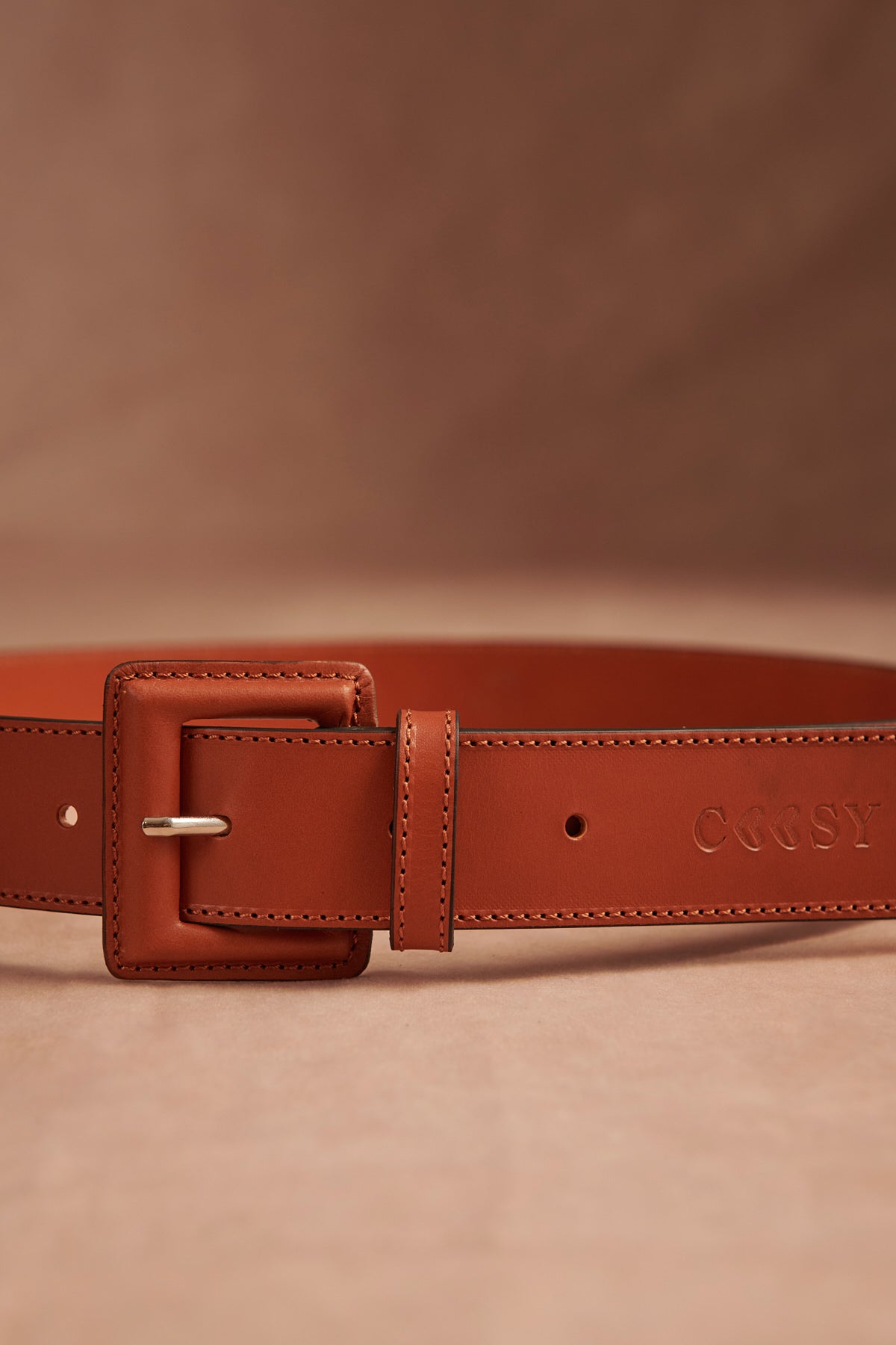 CINTURON RENATA MARRON