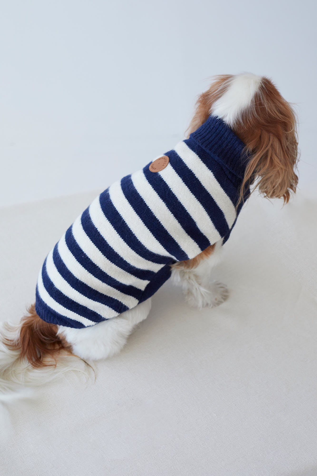 JERSEY PETS BLEU MARINE