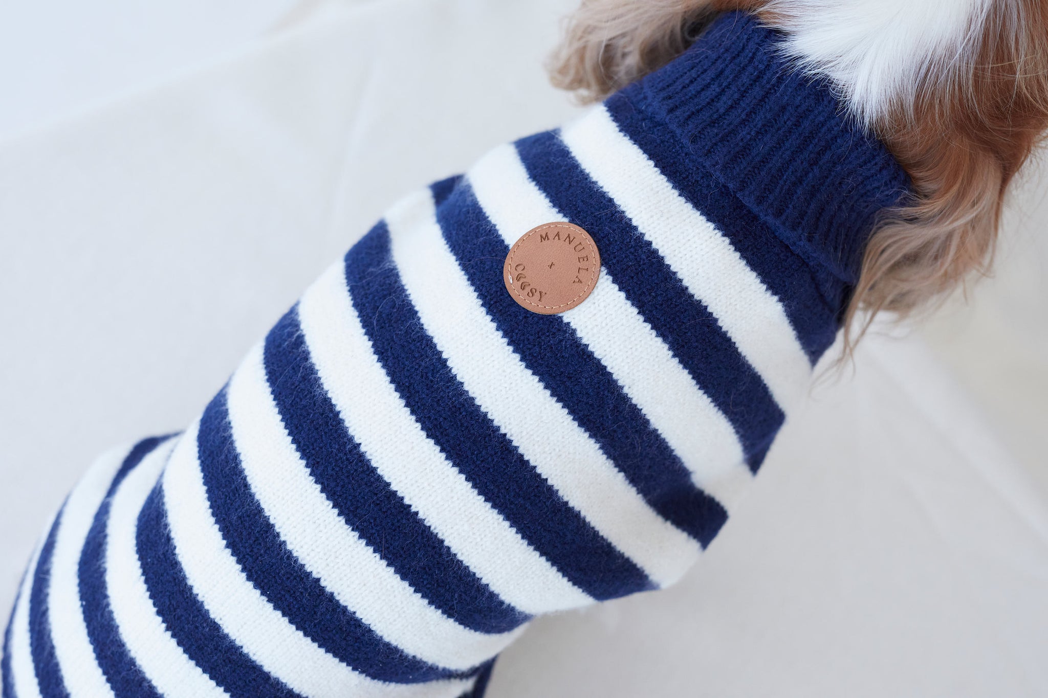 JERSEY PETS BLEU MARINE