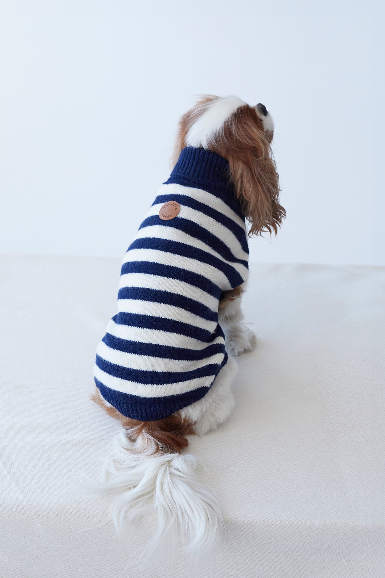 JERSEY PETS BLEU MARINE