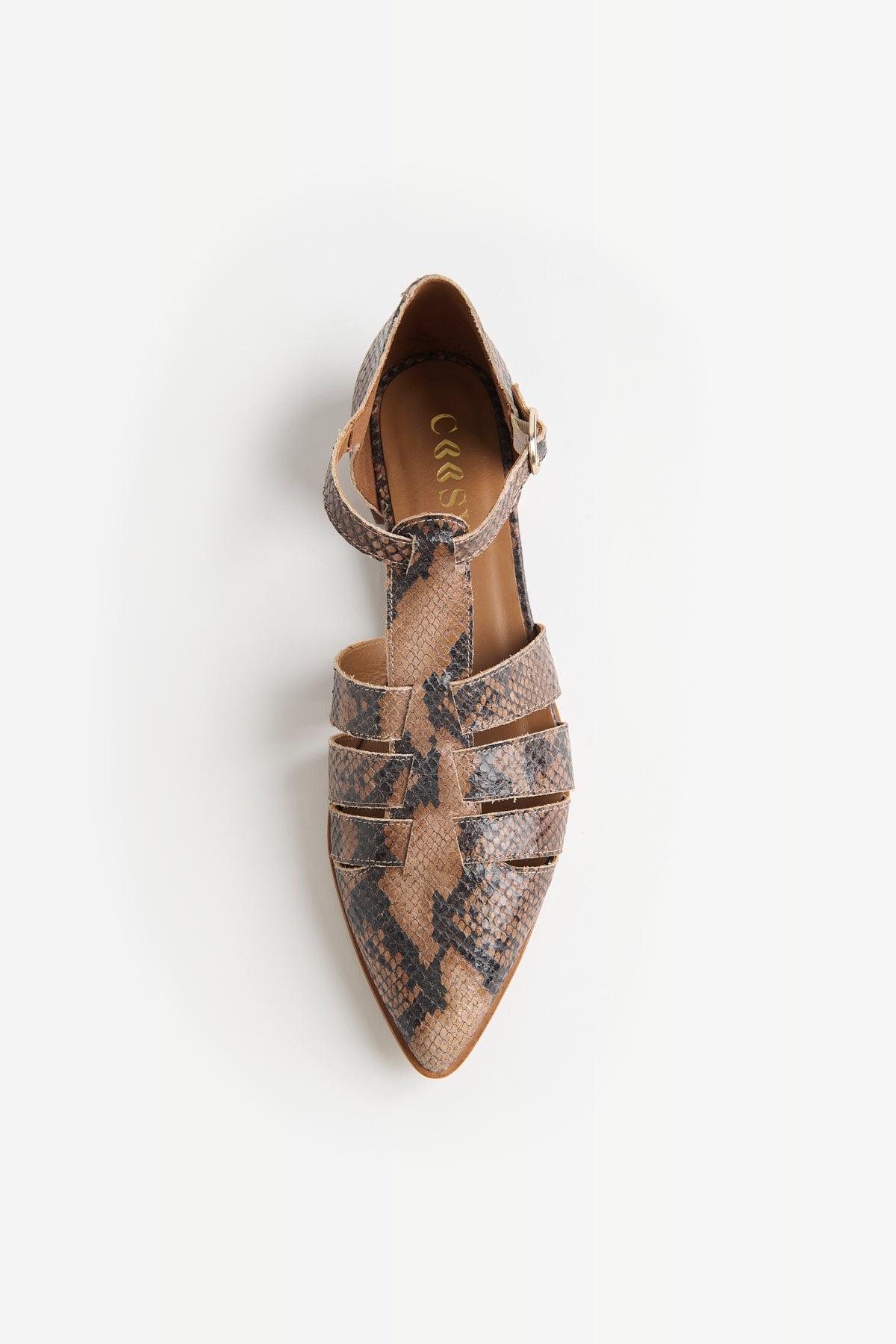ZAPATO PUNTA PRINT