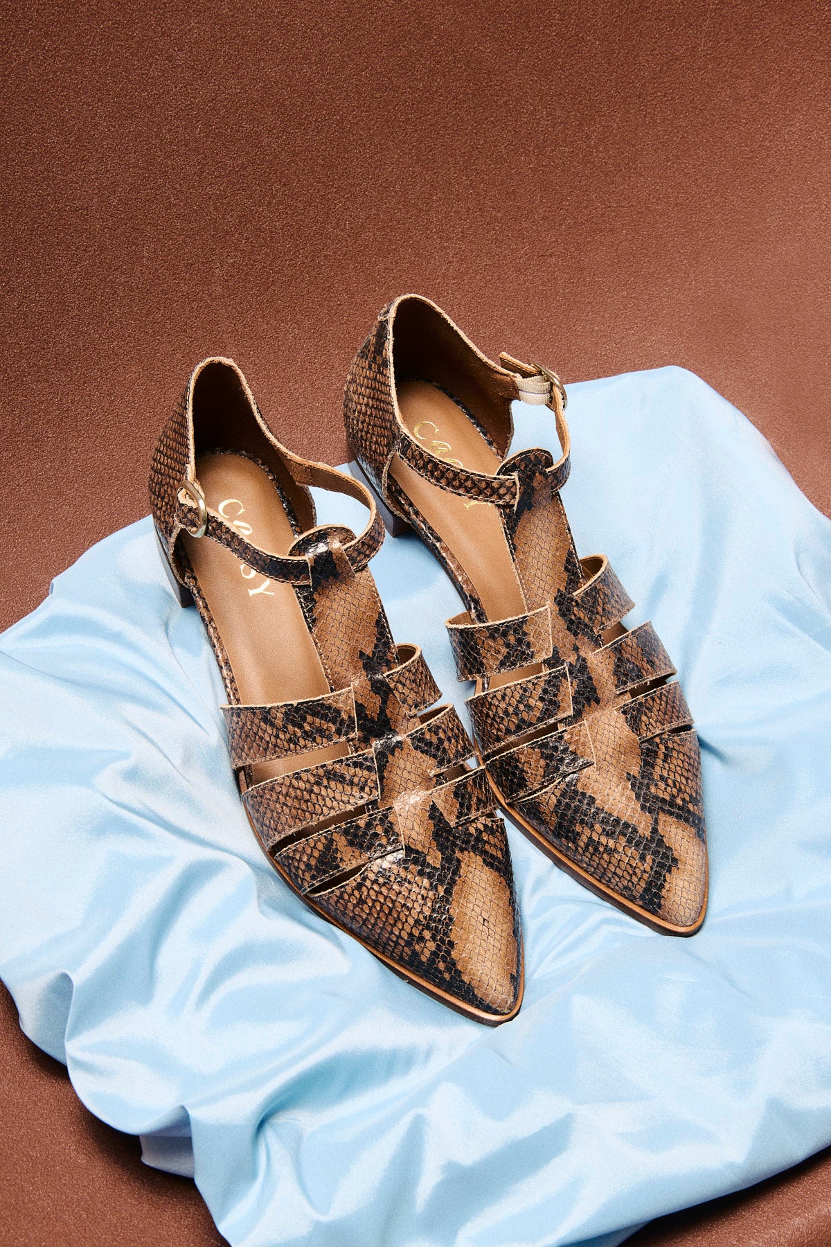 ZAPATO PUNTA PRINT