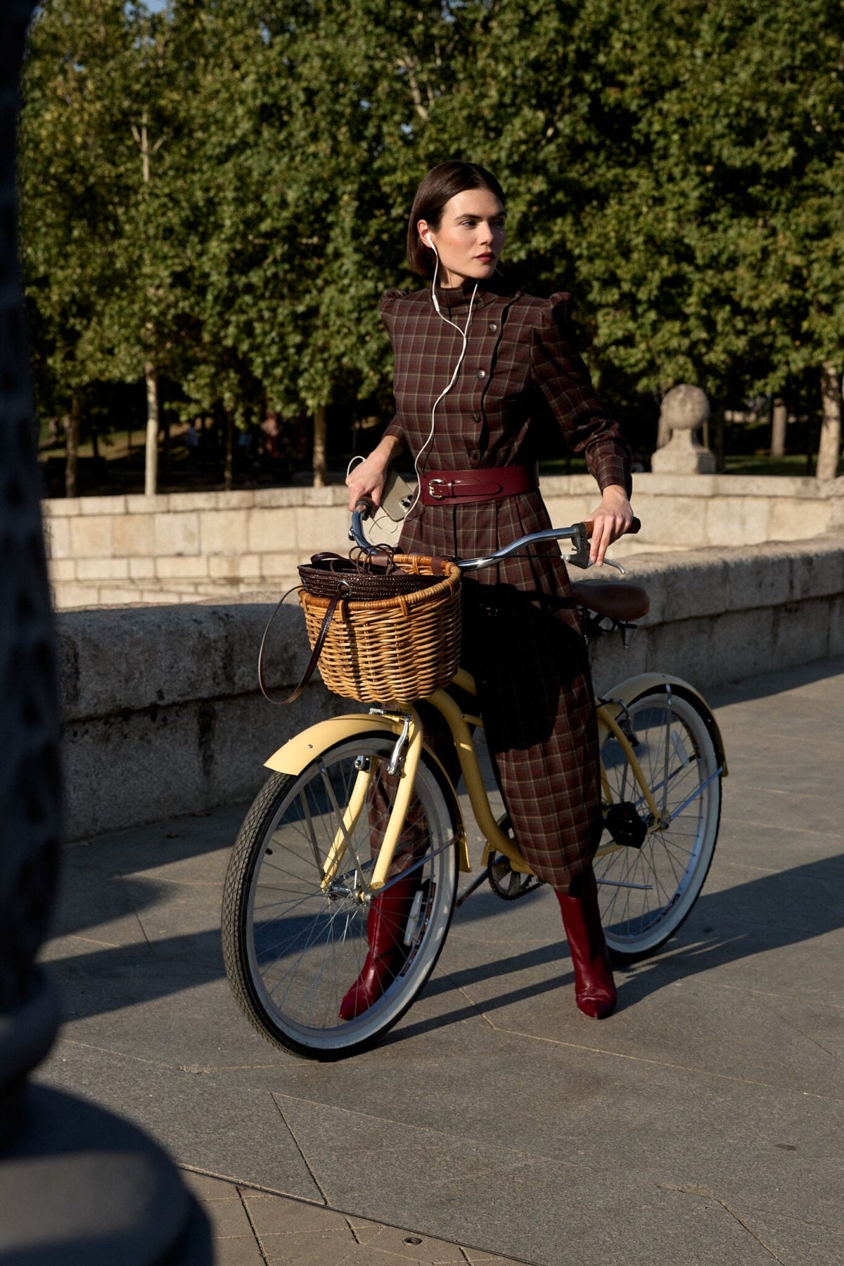 SINGE BRUN OCTAVIA